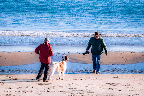 Rockport, MA - Dec 2024